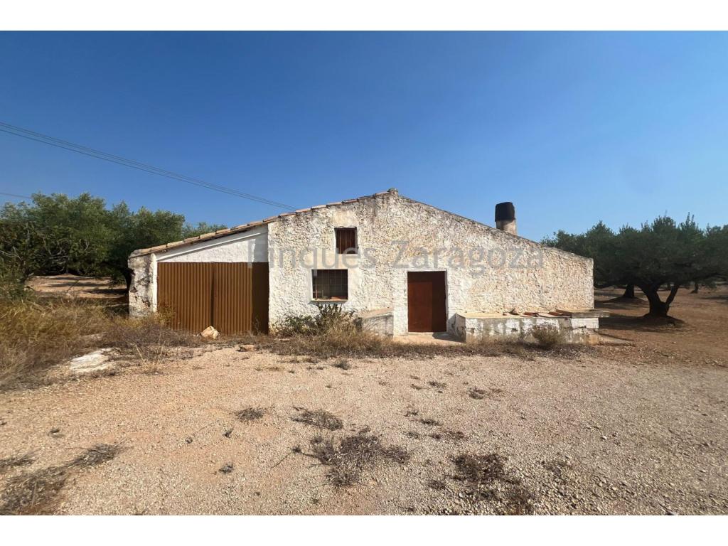 Rustic property with outbuilding and storage room in El PerellóFor sale: rustic property of 35,234 m² in the “Montes Blancos” area, in the municipality of El Perelló. The property consists of olive trees in production and an agricultural outbuilding with a storage room of approximately 53 m², featuring a water cistern and built in 1940.The property has 330 olive trees and just over 80 carob trees. It is easily accessible via a paved road. Please note that there is a high-voltage power line running through the property.The indicated price does not include the expenses and taxes arising from the transfer, such as notary, land registry and administrative fees, as well as any applicable taxes (Property Transfer Tax, Value Added Tax or Stamp Duty), all of which shall be borne entirely by the purchasing party, in accordance with current legislation.Real estate agency fees are included in the agreed sale price.For information and consultation regarding the applicable tax regime, it is recommended to visit the website of the Catalan Tax Agency: Agència Tributària de CatalunyaThe information contained in this advertisement is provided for information and guidance purposes only and does not constitute, under any circumstances, a binding offer or contract. Finques Zaragoza Immobiliaria Delta de l’Ebre, SL. reserves the right to modify, update or rectify the content of this advertisement at any time without prior notice.